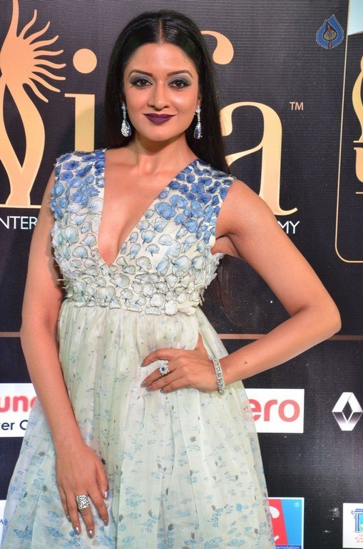 Vimala Raman at IIFA 2017 - 16 / 42 photos