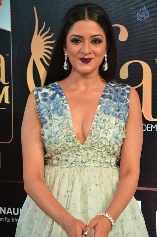 Vimala Raman at IIFA 2017 - 21 / 42 photos