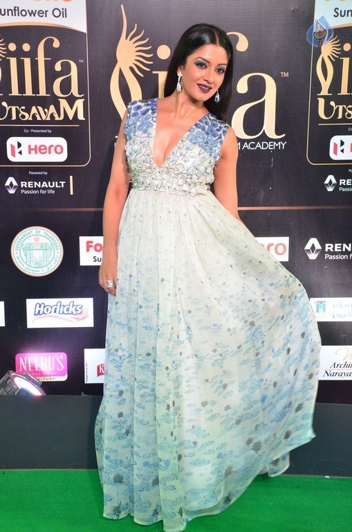 Vimala Raman at IIFA 2017 - 33 / 42 photos