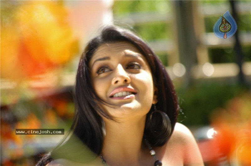 Vimala Raman (Exclusive CineJosh) - 21 / 82 photos