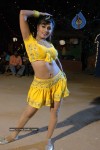 Aarti Puri Spicy Stills - 92 of 215