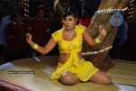 Aarti Puri Spicy Stills - 171 of 215