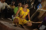 Aarti Puri Spicy Stills - 184 of 215