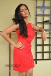 Aasheeka Stills - 48 of 51