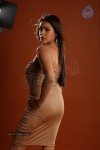 Aditi Agarwal Hot Photo Shoot - 15 of 78