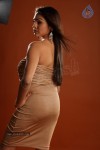 Aditi Agarwal Hot Photo Shoot - 52 of 78
