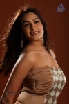 Aditi Agarwal Hot Photo Shoot - 72 of 78