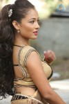 Agnes Sonkar Hot Stills - 9 of 152