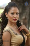 Agnes Sonkar Hot Stills - 53 of 152