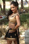 Agnes Sonkar Hot Stills - 120 of 152