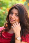 Akanksha Puri New Stills - 33 of 52