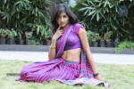 Akshaya Hot Photos - 54 of 143