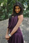 Akshaya New Photos - 52 of 83