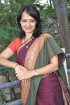 Amala Akkineni Stills - 53 of 64