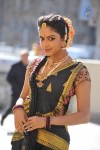 Amala Paul New Photos - 16 of 95