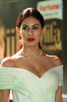 Amyra Dastur at IIFA 2017 - 4 of 29