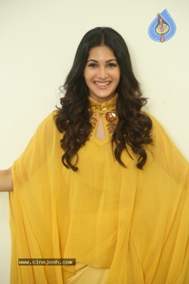Amyra Dastur Latest Stills - 12 of 17