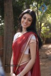 Anchal Stills - 60 of 95