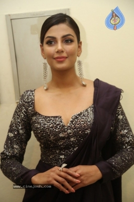 Anisha Ambrose Photos - 3 of 31