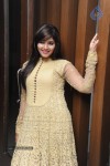 Anjali New Photos - 44 of 95