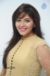 Anjali New Photos - 62 of 95