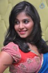 Anjali New Photos - 14 of 53