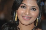 Anjali New Stills - 16 of 48