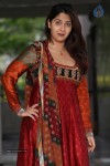 Ankitha Latest Stills - 89 of 96