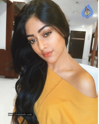 Anu Emmanuel Photos - 7 of 7