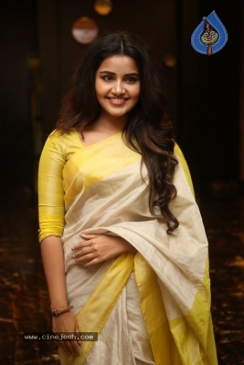 Anupama Parameswaran Gallery - 3 of 19