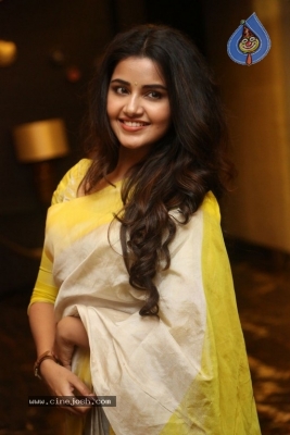 Anupama Parameswaran Gallery - 9 of 19