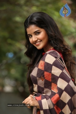 Anupama Parameswaran Interview Photos - 14 of 54