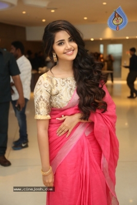 Anupama Parameswaran Latest Gallery - 13 of 21