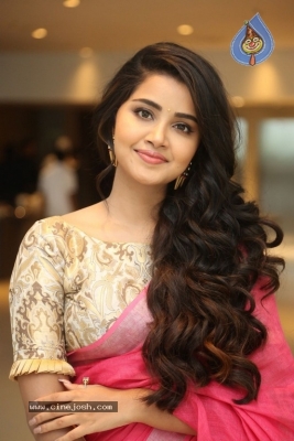 Anupama Parameswaran Latest Gallery - 18 of 21