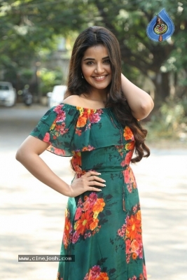 Anupama Parameswaran Latest Pics - 14 of 40