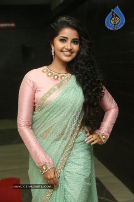 Anupama Parameswaran New Photos - 16 of 21