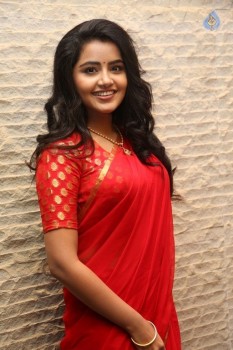 Anupama Parameswaran New Pics - 43 of 60