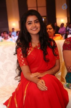 Anupama Parameswaran New Pics - 44 of 60