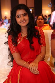 Anupama Parameswaran New Pics - 53 of 60