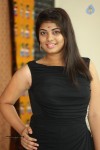 Anusha Latest Gallery - 17 of 63