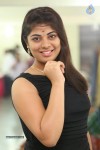 Anusha Latest Gallery - 53 of 63