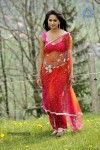 Anushka New Photos - 50 of 58