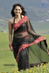 Anushka New Stills - 4 of 64