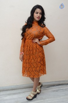 Bhanu Sri Latest Photos - 16 of 38