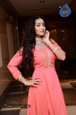 Bhanu Sri Latest Pics - 15 of 26