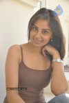 Bhanu Sri Mehra New Stills - 14 of 153