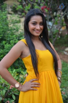 Bhanu Sri New Images - 12 of 41