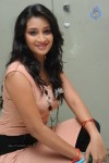 Bhanu Sri New Stills - 66 of 83