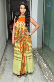 Bhanu Sri Photos - 12 of 40