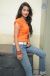 Bhanu Sri Stills - 13 of 65
